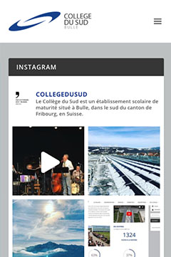 collegedusud.ch mobile