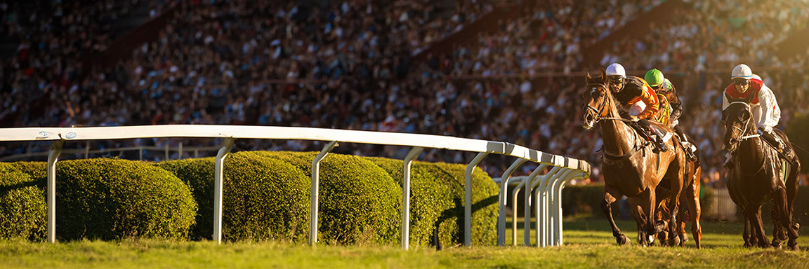 Course de chevaux