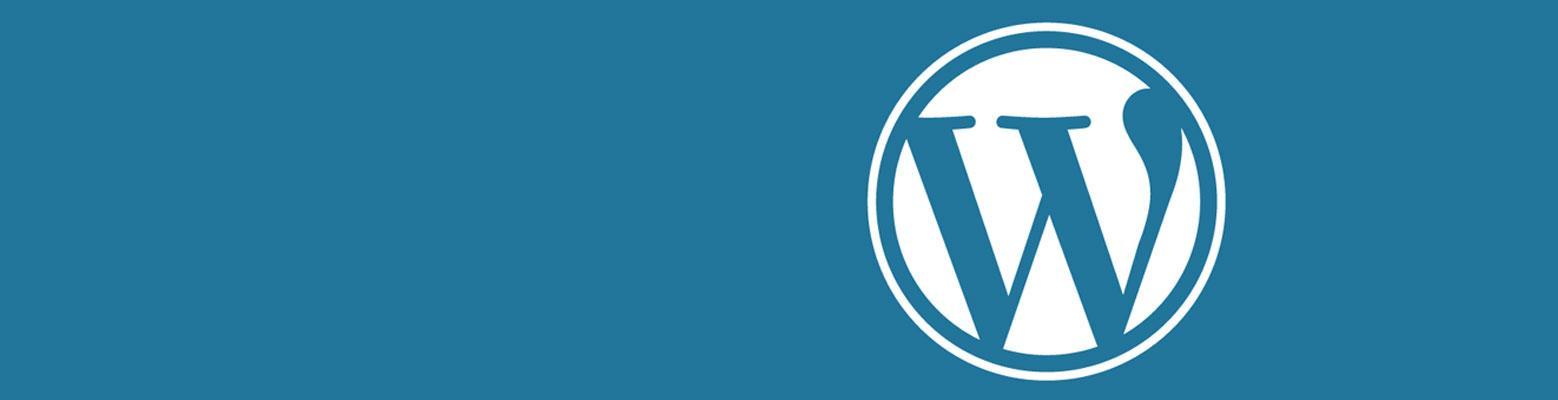 10 techniques pour améliorer la rapidité de son WordPress