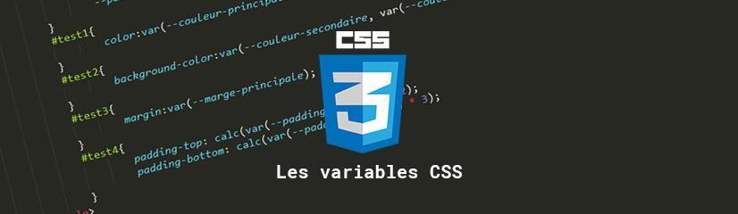 Pourquoi et comment utiliser des variables en CSS ?